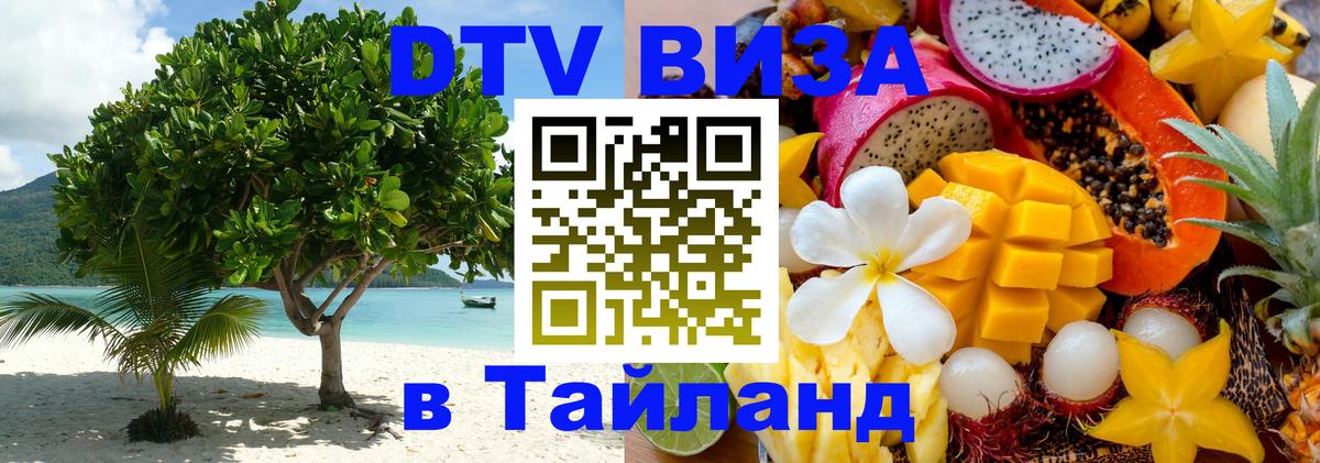 Стоимость и условия DTV визы — оформление в Таиланд под ключ - Курск  08.12.2025 